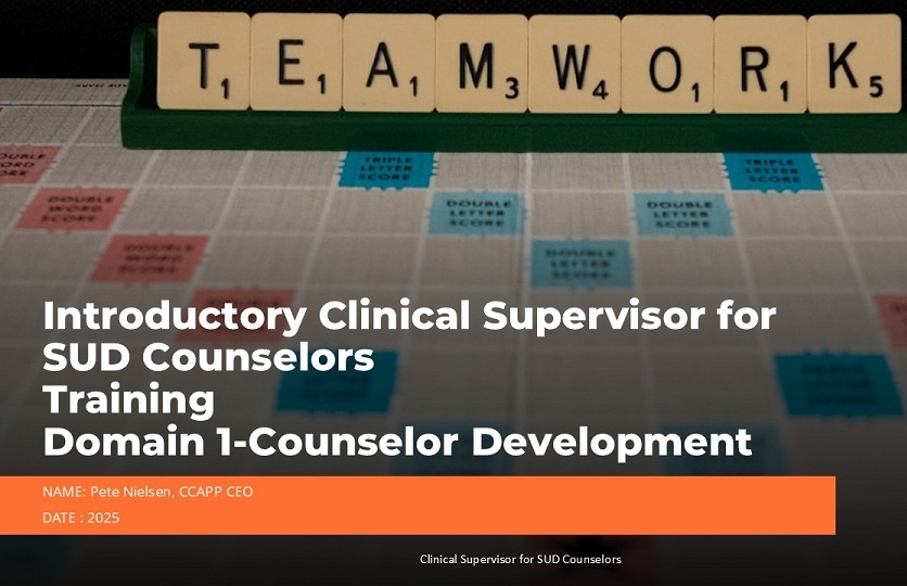 Introductory to SUD Counselor Clinical Supervisor